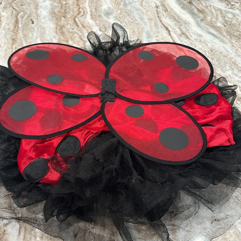 2T Ladybug Costume - Picture 4 of 5